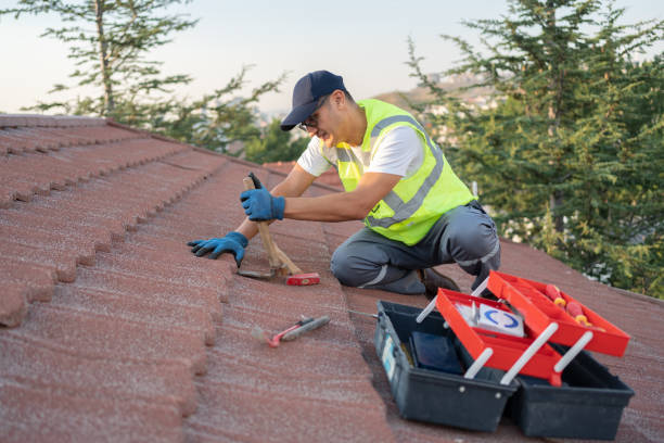 Best Metal Roofing Contractor  in Mcgaheysville, VA