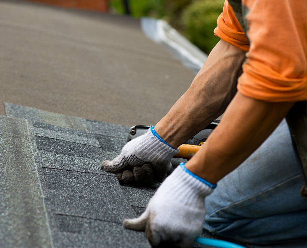 Best Roof Gutter Cleaning  in Mcgaheysville, VA
