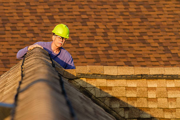 Best Roof Leak Repair  in Mcgaheysville, VA